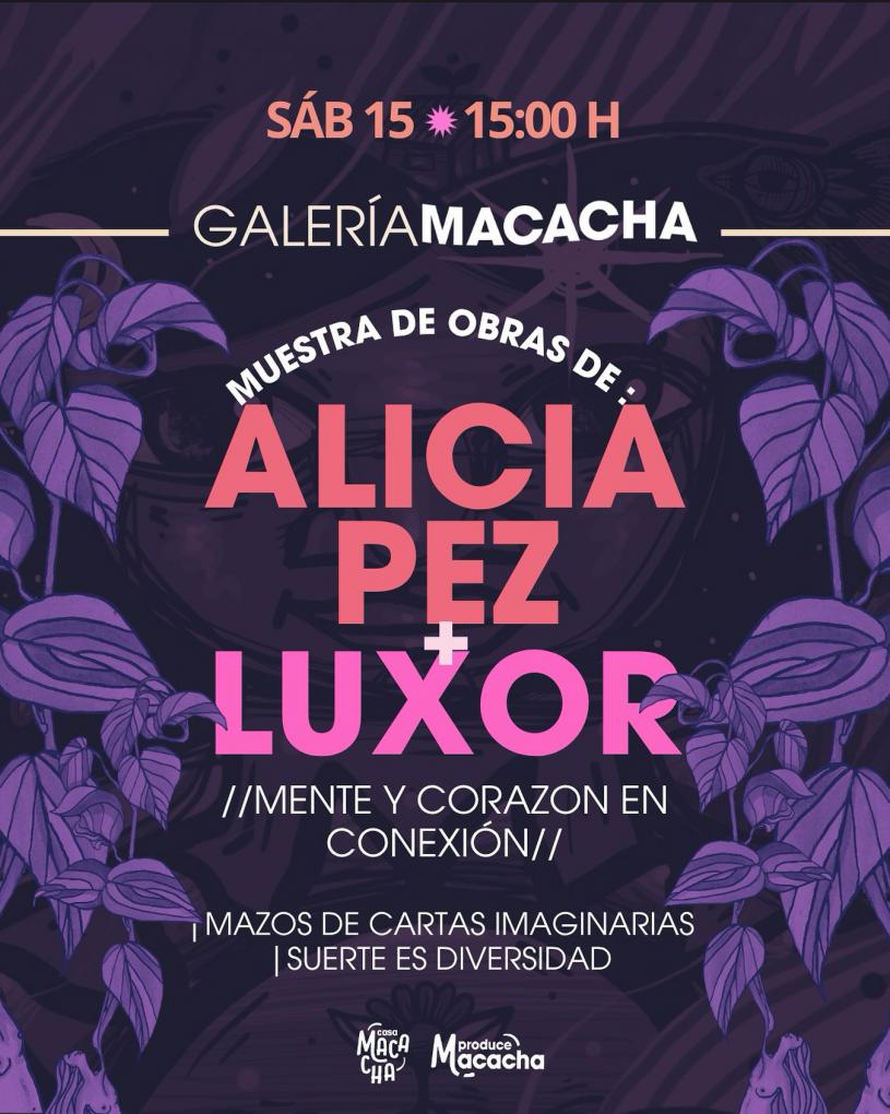 &iexcl;Llega una nueva edici&oacute;n de Galer&iacute;a Macacha!