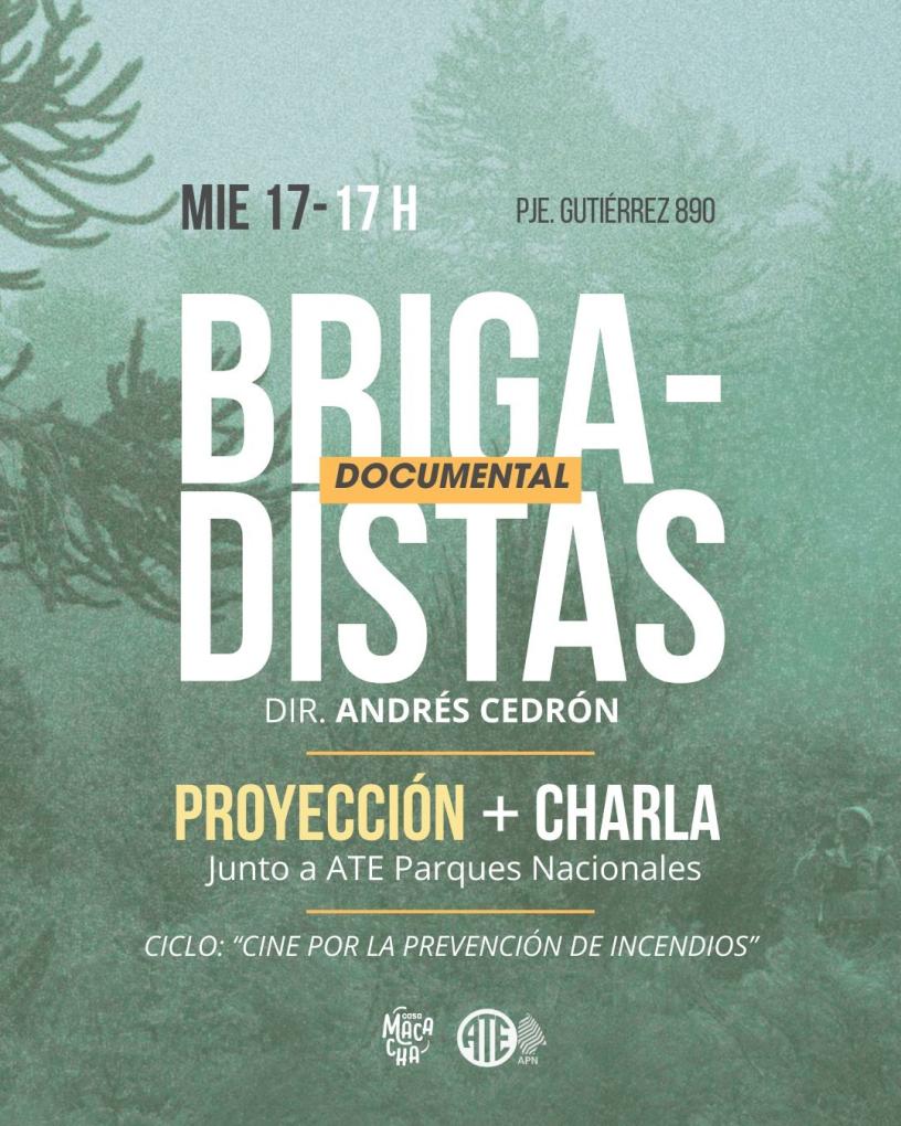 Proyecci&oacute;n de Brigadistas