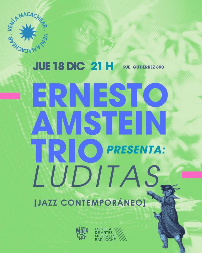 Ernesto Amstein Tr&iacute;o: Luditas