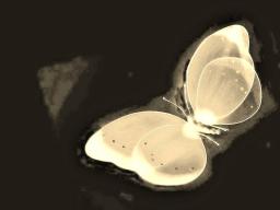 TEATRO Alivios de Luto Primavera Teatral Bariloche