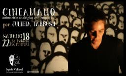 CINEAMANO Animaci&oacute;n anal&oacute;gica en tiempo real - por Julieta Tabbush