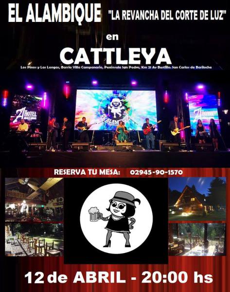 El Alambique, la ya histórica banda de Bariloche, En CATTLEYA