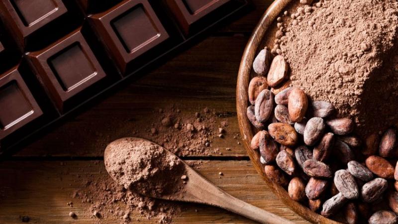 4 Propiedades del Chocolate Negro