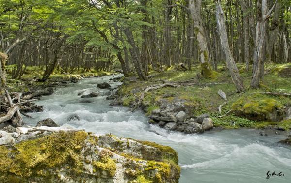 Seminario Ecotono  &iquest;Por qu&eacute; no hay m&aacute;s descubrimientos cient&iacute;ficos en ecolog&iacute;a?"