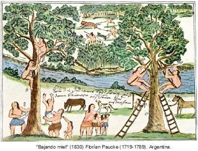 Seminario Ecotono Paradojas e ingenuidades en la investigaci&oacute;n para la acci&oacute;n