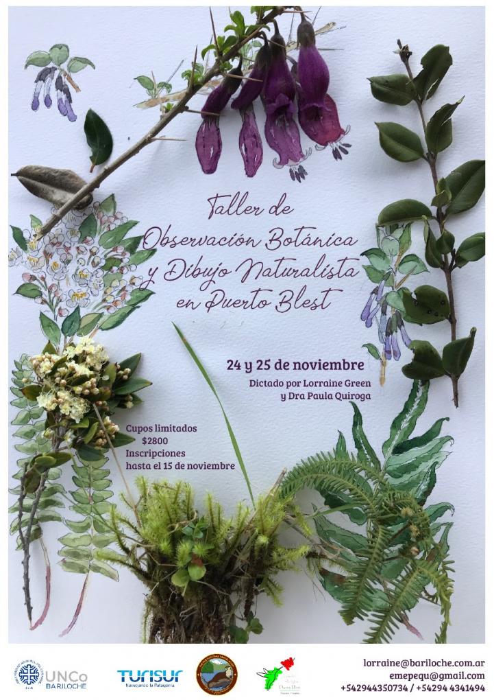 Taller de observaci&oacute;n bot&aacute;nica y dibujo naturalista