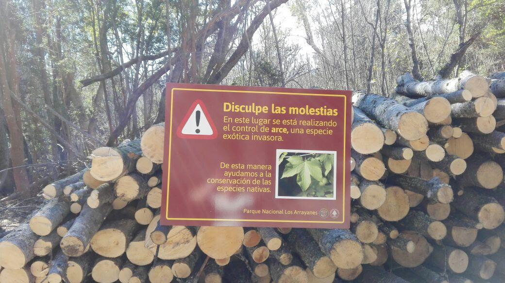 Seminario Ecotono Manejo de invasiones de plantas en la APN