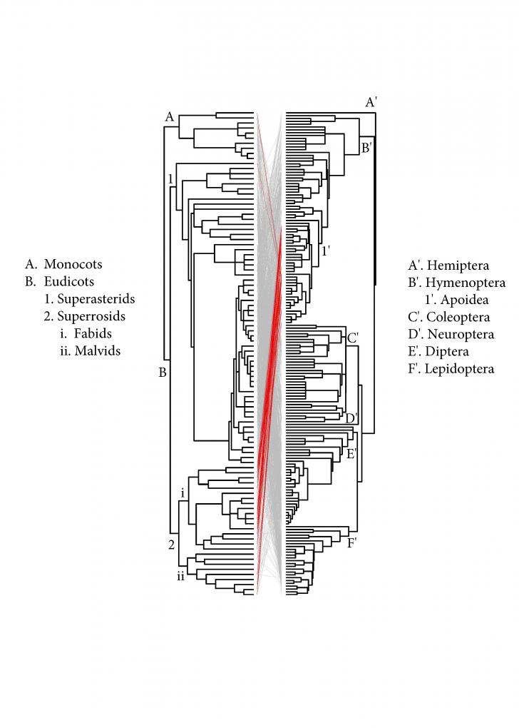 Seminario Ecotono: El tiempo y modo de la coevoluci&oacute;n deja su impronta en la estructura de las redes de interacci&oacute;n mutualistas