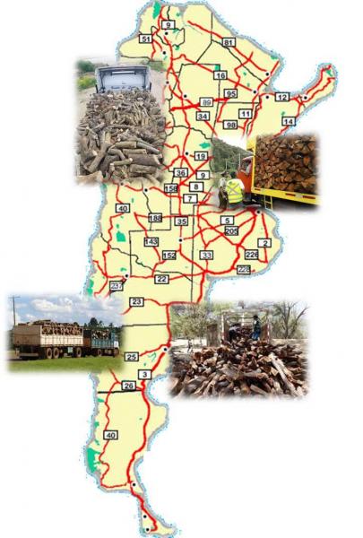 Seminario Ecotono La le&ntilde;a como vector de artr&oacute;podos ex&oacute;ticos