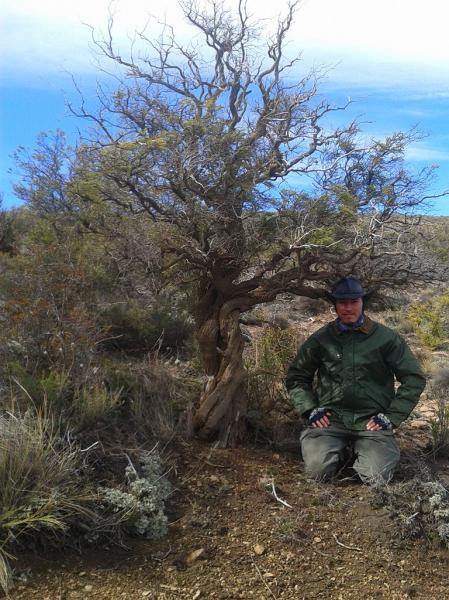 Seminario Ecotono: Relaciones entre arbustizaci&oacute;n, incendios y clima en la Patagonia Extra Andina utilizando dendrocronolog&iacute;a