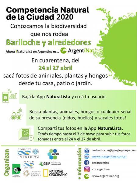  Competencia Natural de la Ciudad 2020🐿🍄