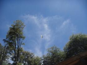 ¿Qui&eacute;n se hace cargo de esto?