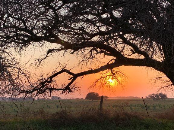 Finalizó el Concurso de fotos sobre los Tesoros por Descubrir de la Patagonia