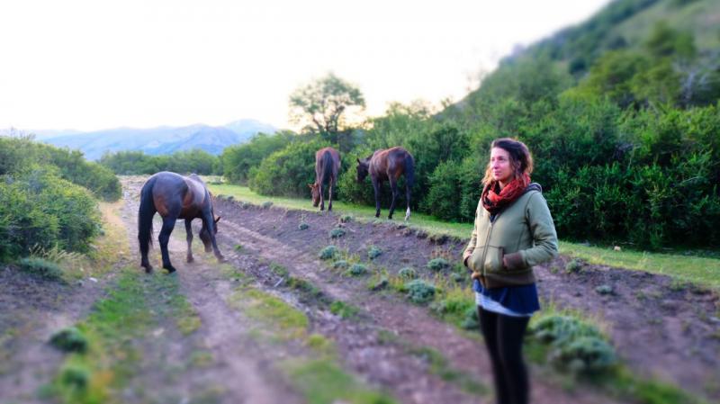 La poesía de Gabriela Klier: Lo vital, lo vincular