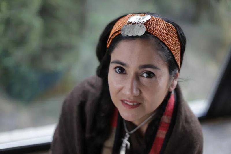 Una artista de Bariloche fue nominada a los Premios Gardel