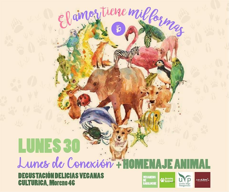 La Nube Percusi&oacute;n invita a Pedro Zanca y Asami Asha