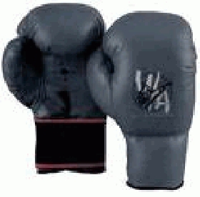 Primer Festival de Box. 2009 en el BOLSON