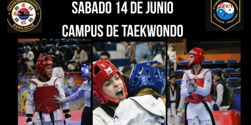 En Dina Huapi se llevar&aacute; a cabo un fin de semana de Taekwando