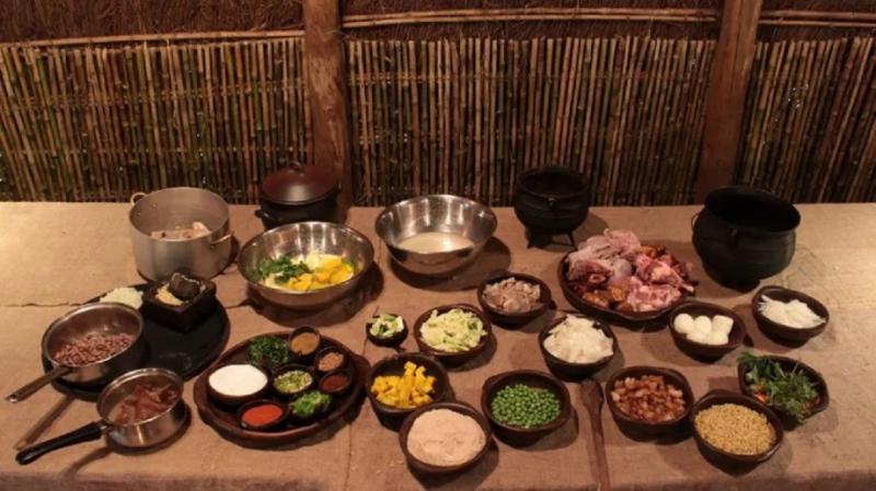 Celebraci&oacute;n del Wi&ntilde;oy Xipantv y c&oacute;mo se relaciona con la alimentaci&oacute;n del pueblo mapuche durante el a&ntilde;o