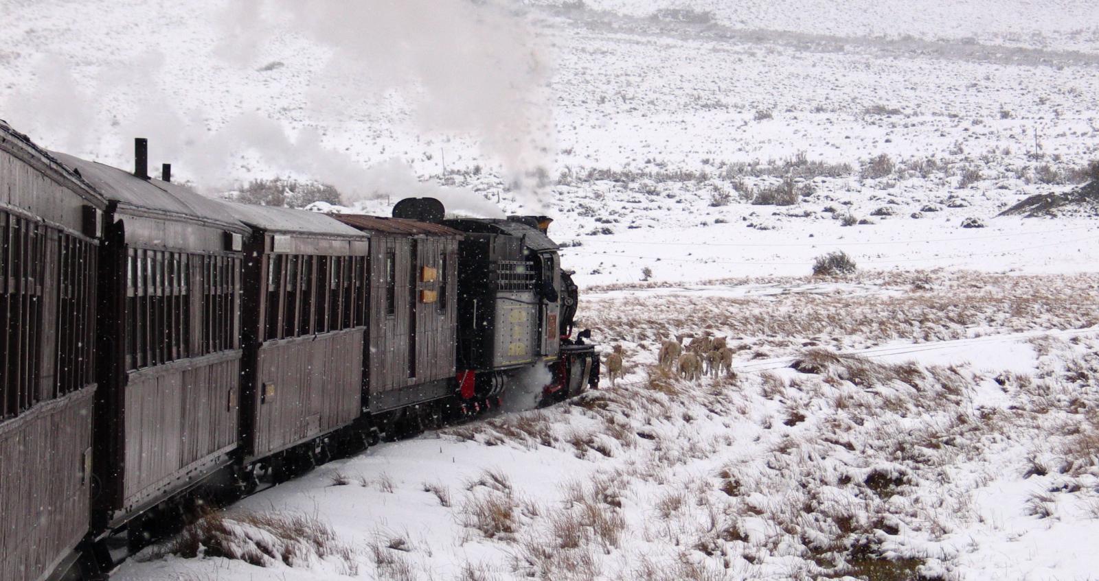 "La Trochita" de Esquel: un viaje en el tiempo que une la ciudad con la estepa