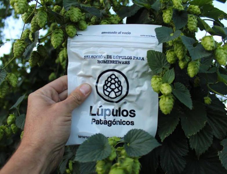 La 3er edicion del Festival de la Cosecha del Lupulo esta a la vuelta de la esquina 