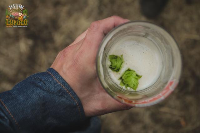 Festival de la Cosecha del Lúpulo