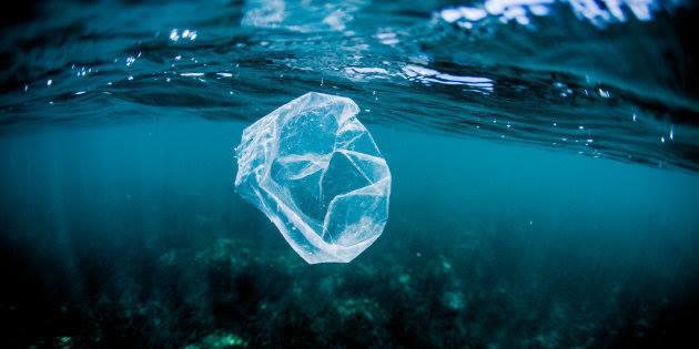 Mercado Comunitario, ejemplo a nivel pa&iacute;s en el cuidado del medio ambiente