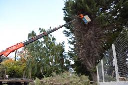 Cesa alerta por vientos fuertes: tiempo de revisar techos y árboles