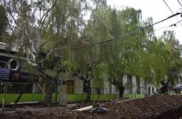 Avanzan hacia el cableado eléctrico subterráneo en Mitre