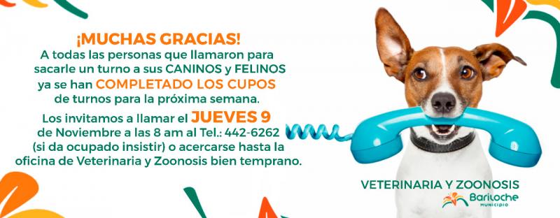 Comunicado de Veterinaria y Zoonosis