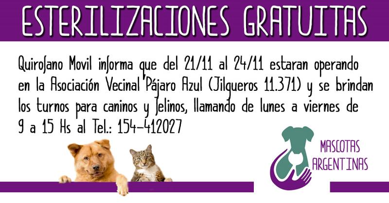 Cronograma de la campaña de esterilización del 21 al 24 de noviembre