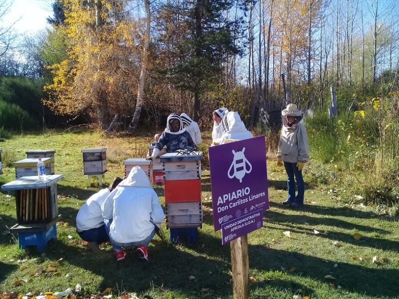 Entregaron certificados del segundo curso de Iniciación Apícola