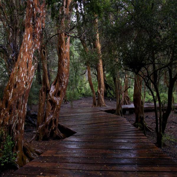 ENTE AUT&Aacute;RQUICO ADMINISTRADOR Y CIENT&Iacute;FICO-T&Eacute;CNICO DEL PARQUE MUNICIPAL LLAO LLAO     COMUNICADO 03-25
