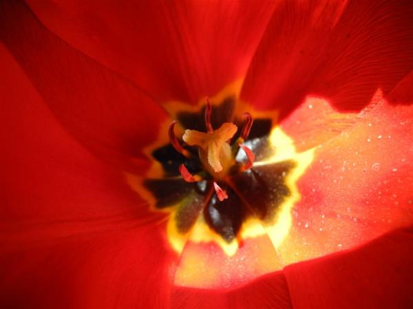 Buen lunes ! buen comienzo de semana !