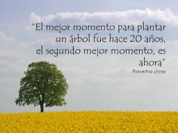 Plantar un arbol