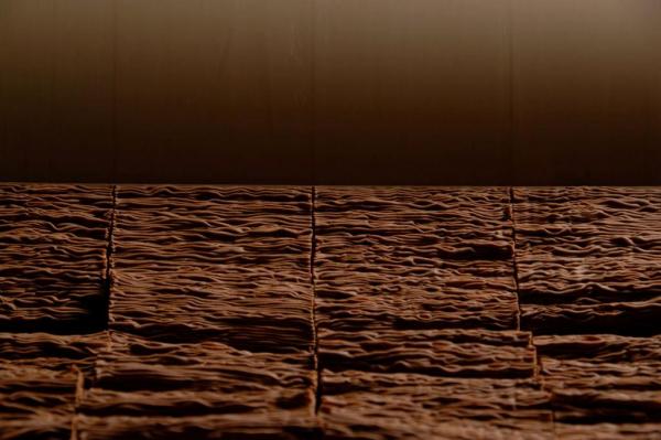 Bariloche ya es la Capital Nacional del Chocolate