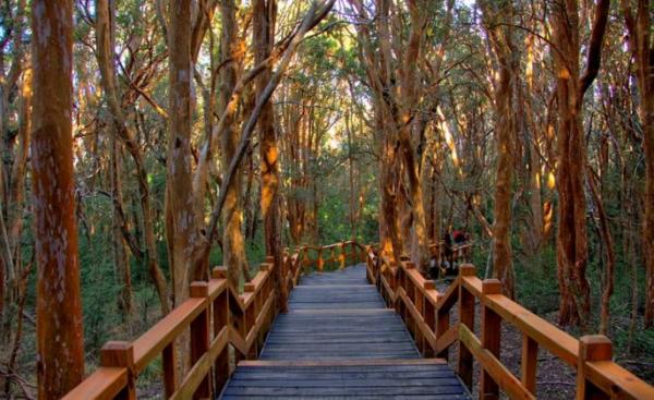 Descuentos de Turisur para residentes de Bariloche y Dina Huapi