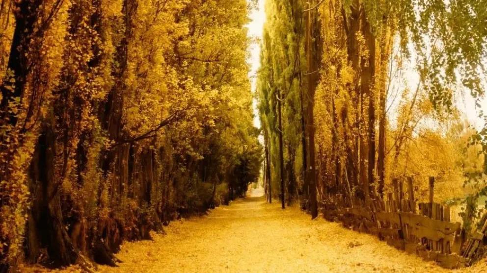 La oferta tur&iacute;stica de Dina Huapi para este oto&ntilde;o: color, naturaleza y tranquilidad