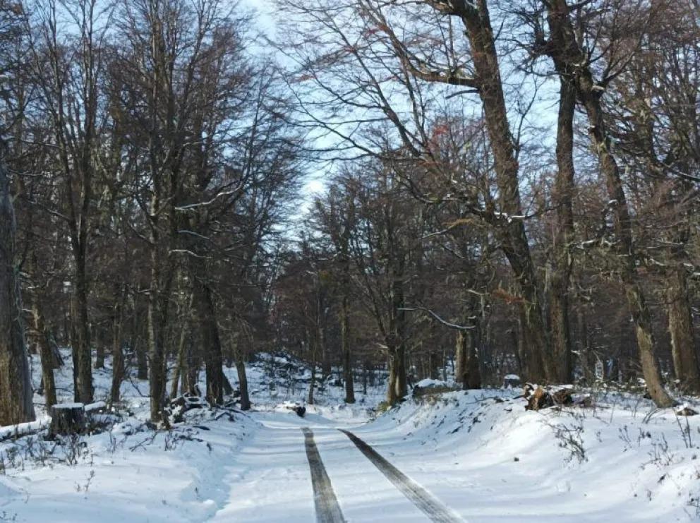 Despu&eacute;s de la nieve, cu&aacute;l es el estado de los caminos del Parque Nacional