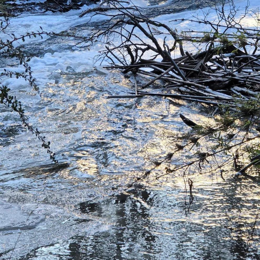 Temporada Invierno: c&oacute;mo prepararse para salir a caminar por los senderos de monta&ntilde;a