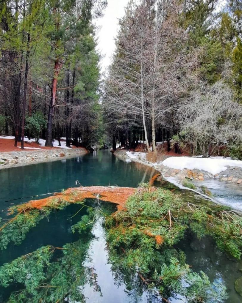 Cuatro caminatas de monta&ntilde;a para recorrer en familia en Bariloche