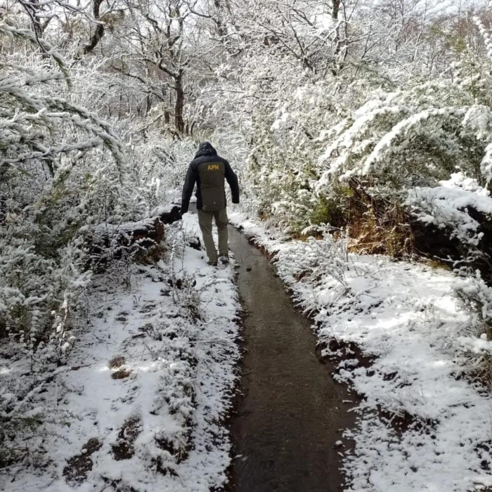 Reabren el acceso al Circuito Tronador solo para veh&iacute;culos altos