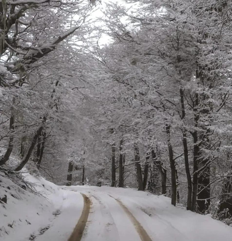 Cu&aacute;l es el estado de los caminos en el Parque Nacional Nahuel Huapi