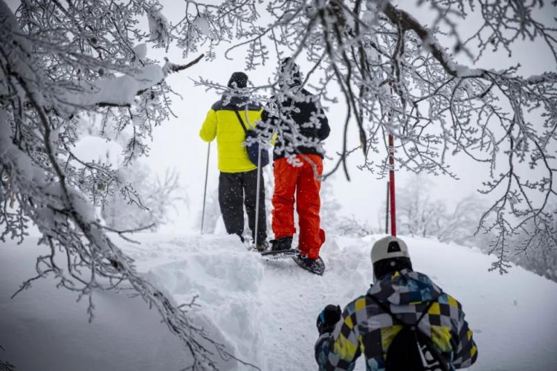 Con tarifas congeladas, abre el cerro Otto y su emblem&aacute;tico telef&eacute;rico