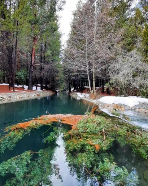 Cuatro caminatas de monta&ntilde;a para recorrer en familia en Bariloche