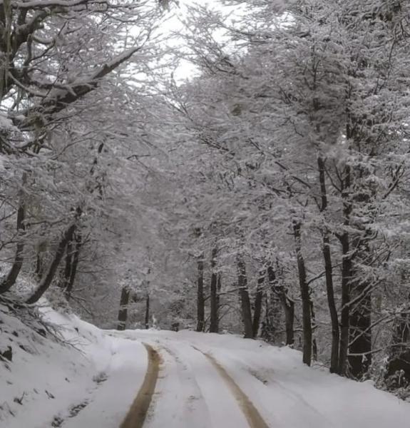 Cu&aacute;l es el estado de los caminos en el Parque Nacional Nahuel Huapi