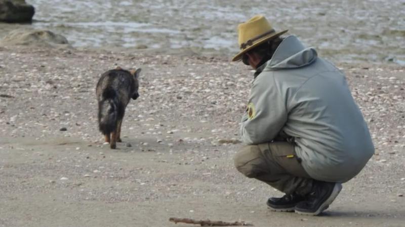 La importancia de visitar &Aacute;reas Naturales Protegidas sin alterar la naturaleza