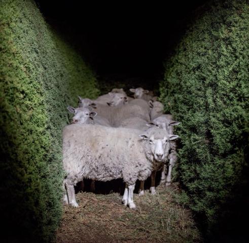 Imágenes del libro LABERINTO, ya disponible en Laberinto Patagonia!!!