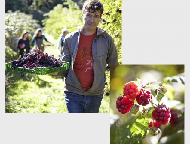 Nuestros Cultivos Orgánicos