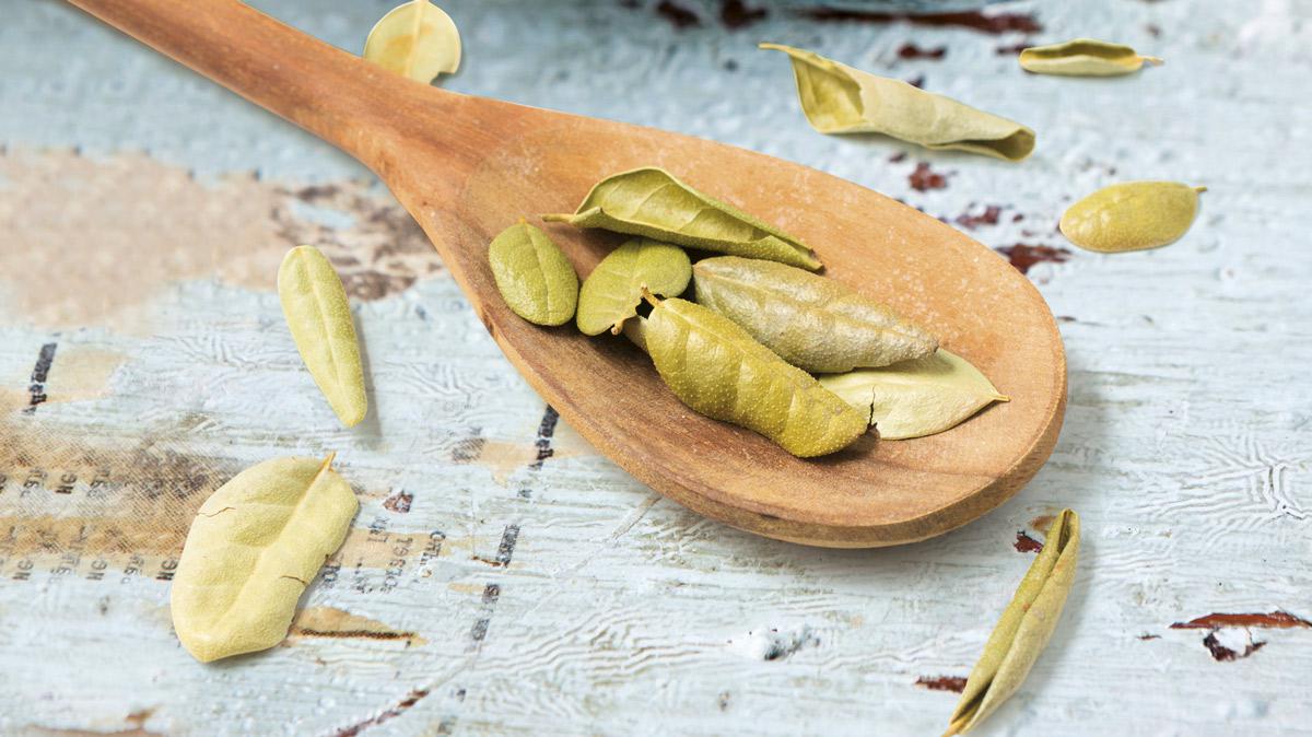 4 plantas para suavizar una mala digesti&oacute;n